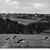 Drabenderhöhe von Obermiebach aus gesehen - 1940