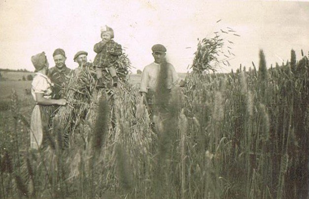 Landarbeit im Scheidt 1942